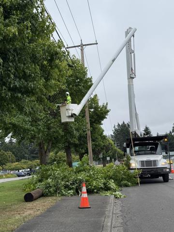Bucket truck removing a storm-damaged limb over a residential street